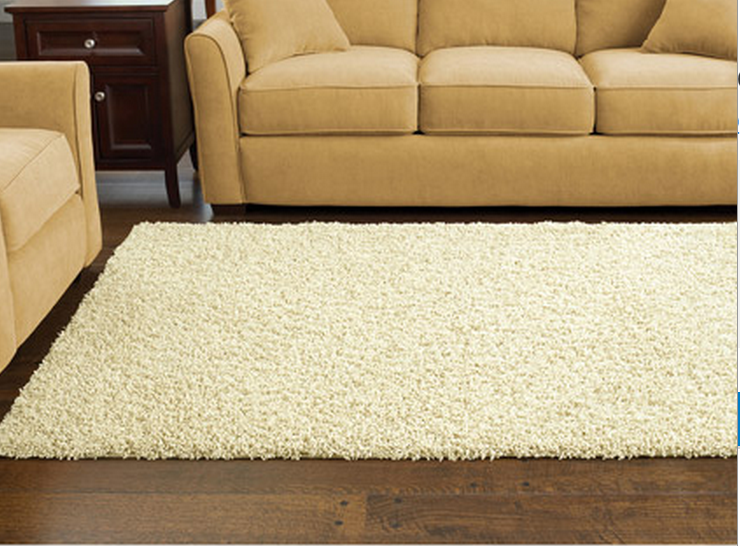 Shaggy Area Rug