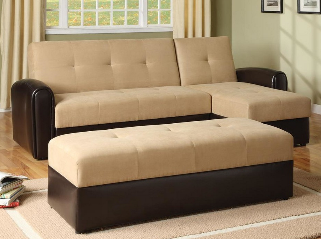 Convertible Sectional Sofa Bed with Stor - contemporary - Sofa Beds - ivgSt