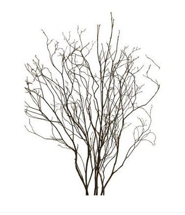 Christmas Decoration Branches